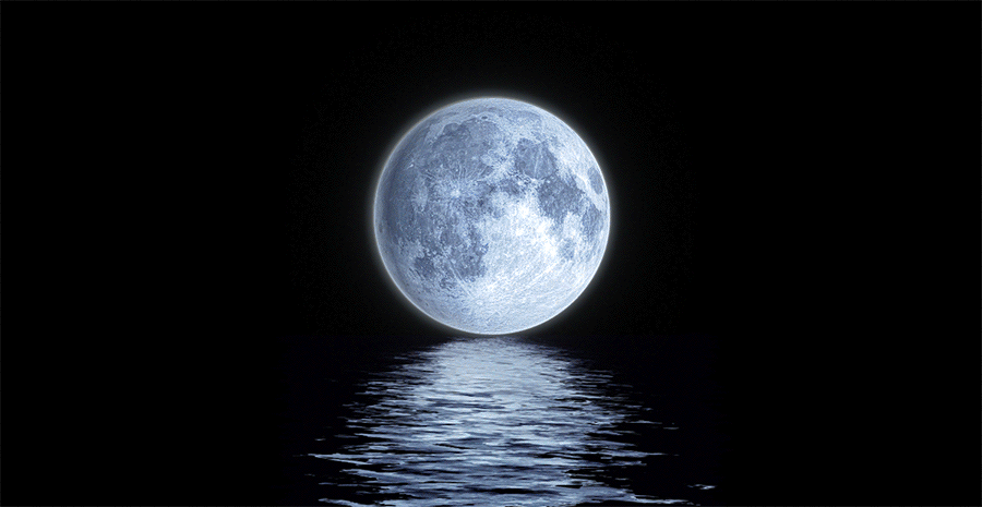 0edfffcd0749efae5f1ffd96b78b1852_1777985428_5916.gif