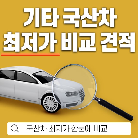 기타 국산차 기타 국산차